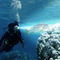 Custom Waterproof Flashlight For Diving Underwater 150 Meters Light Distance supplier